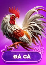 da-ga-qh88